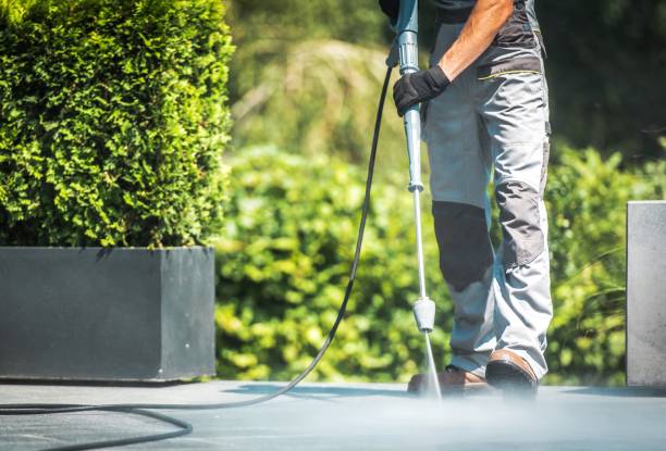 Best Animal Enclosure Cleaning  in Poquoson, VA