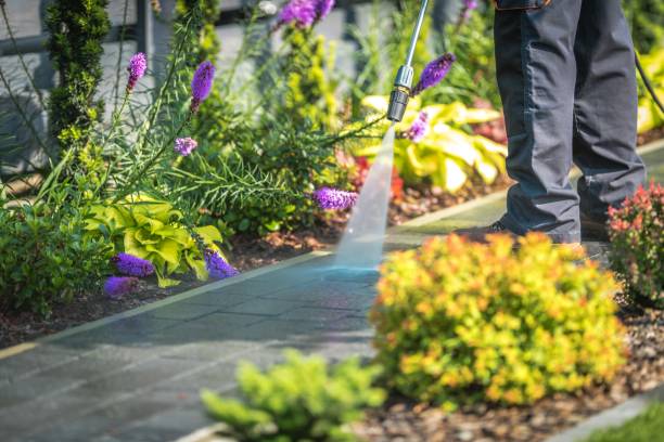 Reliable Poquoson, VA Pressure Washing Solutions